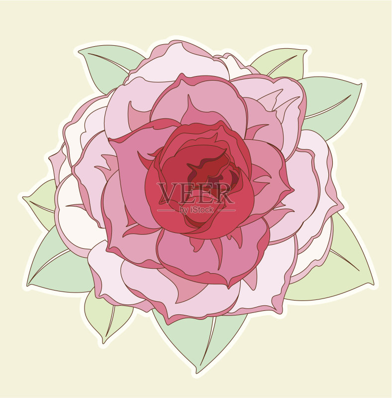 华丽的 婚礼 玫瑰 剪贴画 花瓣 自然美 时尚 事件 绘画插图 美 花头 请