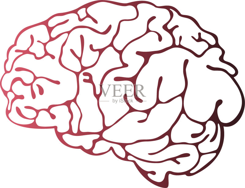 科学 智慧 计算机制图 剪贴画 人体内脏器官 歇斯底里 色彩渐变 知识 科学 智慧 计算机制图 剪贴画 人体内脏器官 歇斯底里 色彩渐变 知识